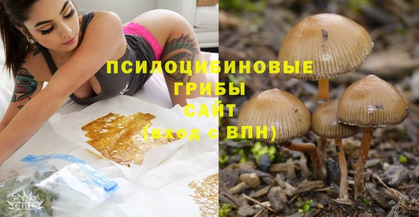 мяу мяу мука Корсаков