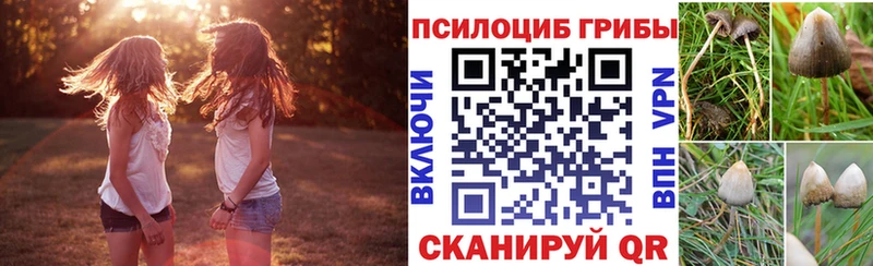 Галлюциногенные грибы Magic Shrooms Макушино